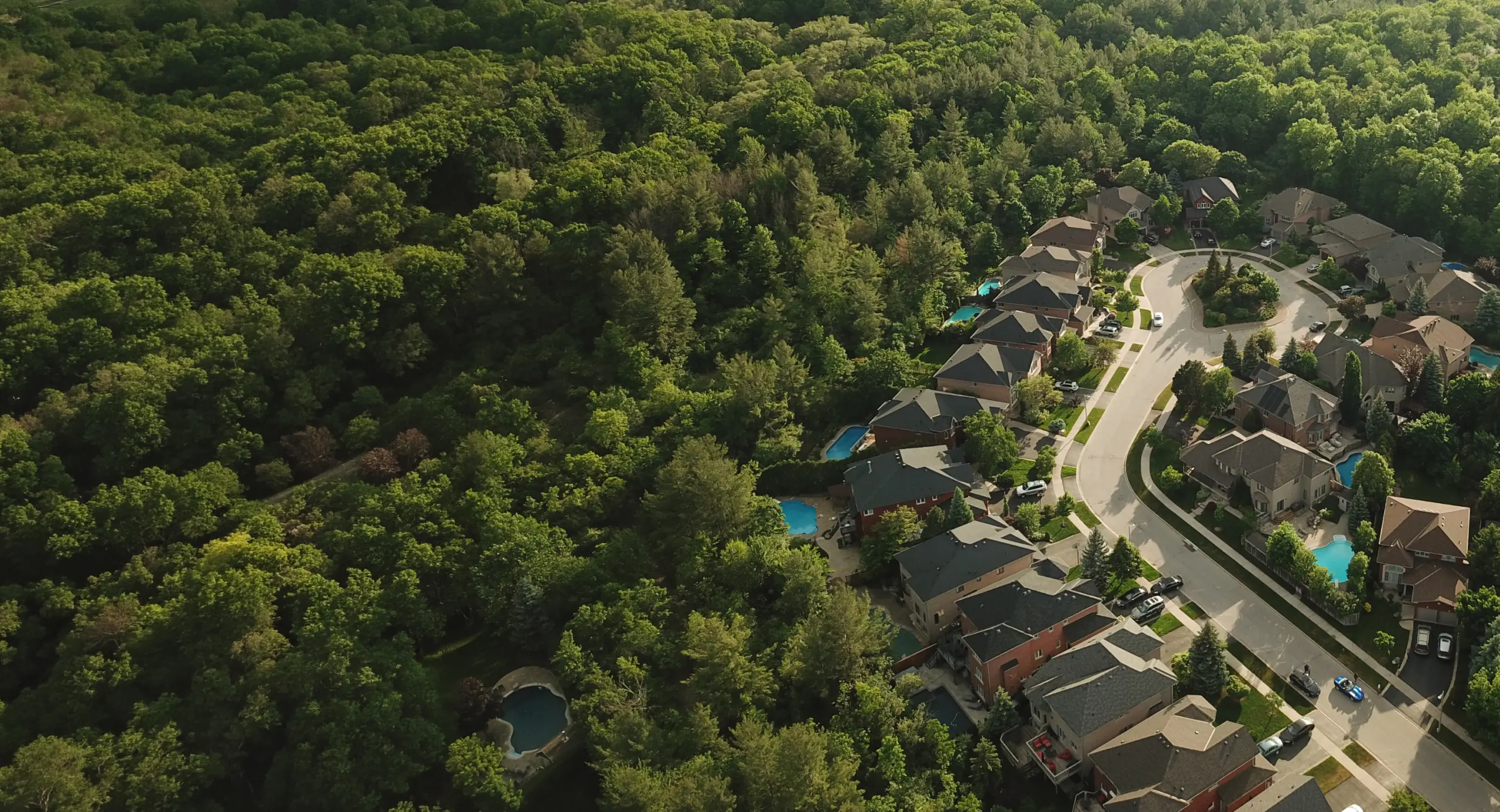 Aerial view of a suburban street of homes, pools and trees